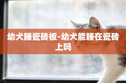 幼犬睡瓷磚板-幼犬能睡在瓷磚上嗎