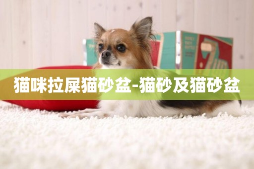 貓咪拉屎貓砂盆-貓砂及貓砂盆