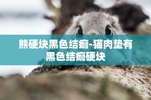 熊硬塊黑色結痂-貓肉墊有黑色結痂硬塊