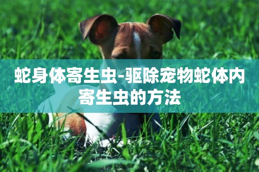 蛇身體寄生蟲-驅除寵物蛇體內寄生蟲的方法