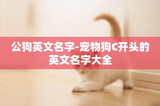 公狗英文名字-寵物狗C開頭的英文名字大全