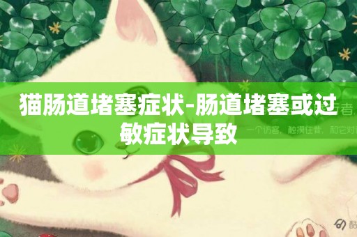 貓腸道堵塞癥狀-腸道堵塞或過敏癥狀導致