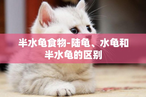 半水龜食物-陸龜、水龜和半水龜的區別