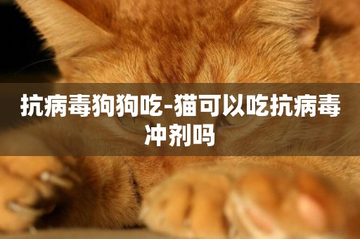 抗病毒狗狗吃-貓可以吃抗病毒沖劑嗎