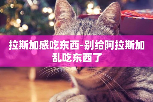 拉斯加感吃東西-別給阿拉斯加亂吃東西了