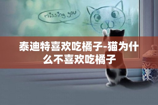 泰迪特喜歡吃橘子-貓為什么不喜歡吃橘子