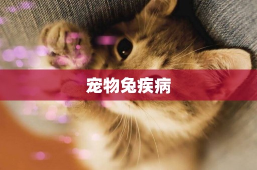 寵物兔疾病