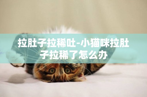 拉肚子拉稀吐-小貓咪拉肚子拉稀了怎么辦