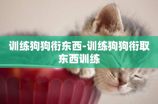 訓練狗狗銜東西-訓練狗狗銜取東西訓練