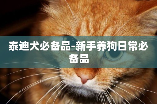 泰迪犬必備品-新手養狗日常必備品