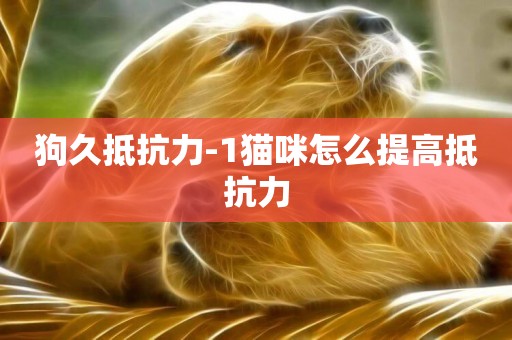 狗久抵抗力-1貓咪怎么提高抵抗力