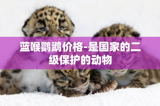 藍喉鸚鵡價格-是國家的二級保護的動物