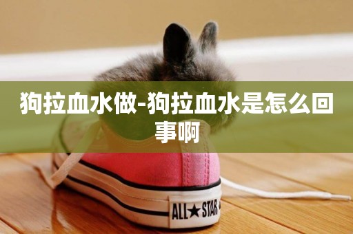 狗拉血水做-狗拉血水是怎么回事啊