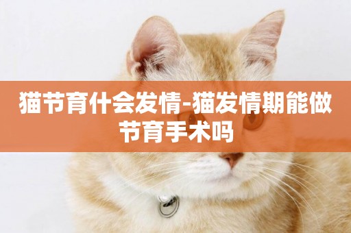 貓節育什會發情-貓發情期能做節育手術嗎