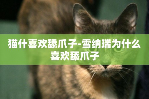 貓什喜歡舔爪子-雪納瑞為什么喜歡舔爪子