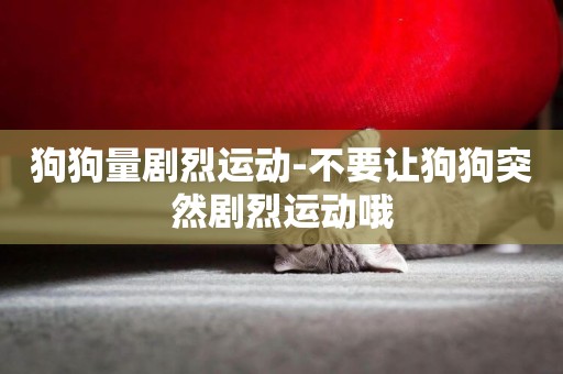 狗狗量劇烈運動-不要讓狗狗突然劇烈運動哦