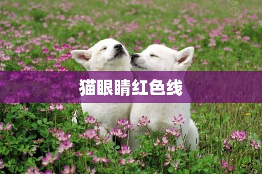 貓眼睛紅色線