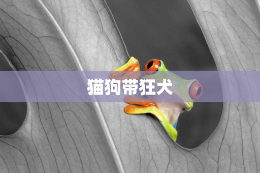 貓狗帶狂犬