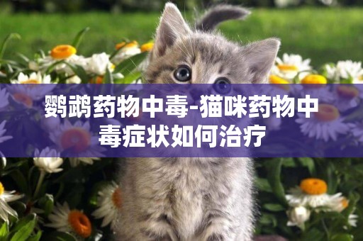鸚鵡藥物中毒-貓咪藥物中毒癥狀如何治療