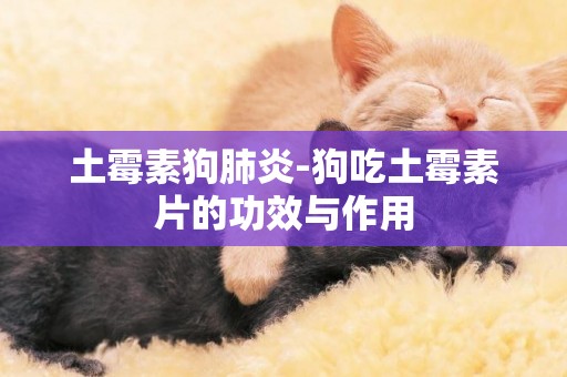 土霉素狗肺炎-狗吃土霉素片的功效與作用