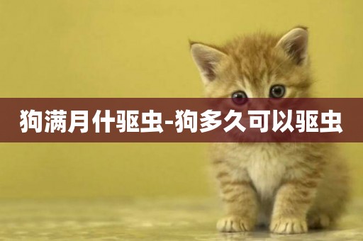狗滿月什驅蟲-狗多久可以驅蟲