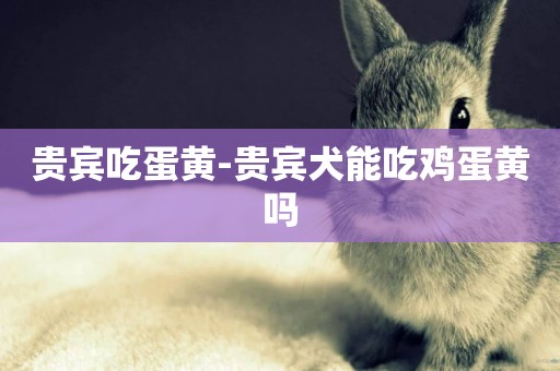 貴賓吃蛋黃-貴賓犬能吃雞蛋黃嗎