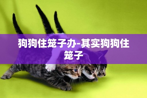狗狗住籠子辦-其實狗狗住籠子