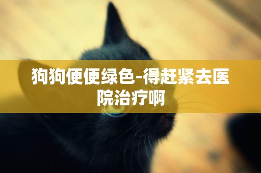 狗狗便便綠色-得趕緊去醫院治療啊
