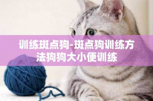 訓練斑點狗-斑點狗訓練方法狗狗大小便訓練