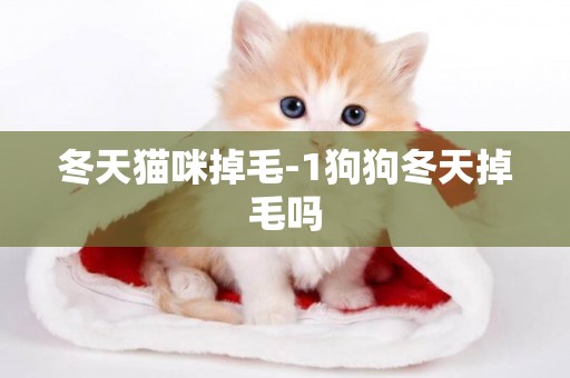 冬天貓咪掉毛-1狗狗冬天掉毛嗎