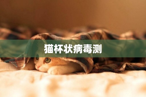 貓杯狀病毒測