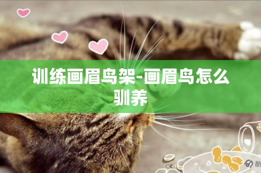訓練畫眉鳥架-畫眉鳥怎么馴養