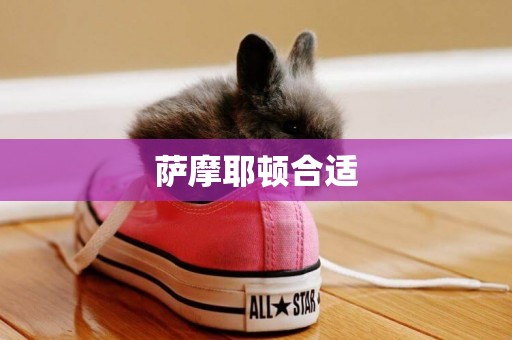 薩摩耶頓合適