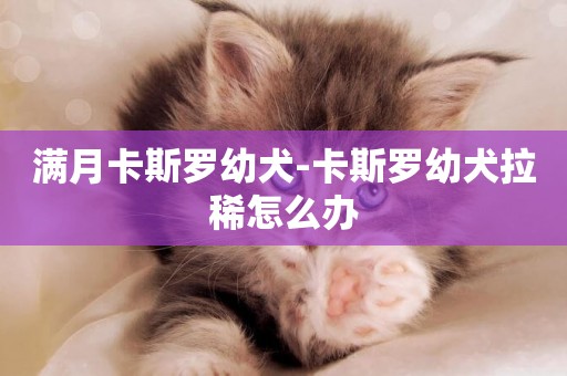 滿月卡斯羅幼犬-卡斯羅幼犬拉稀怎么辦