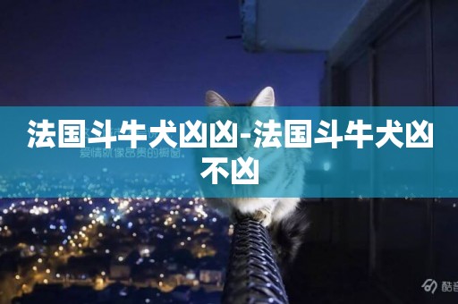 法國斗牛犬兇兇-法國斗牛犬兇不兇