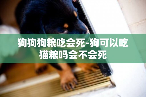 狗狗狗糧吃會死-狗可以吃貓糧嗎會不會死