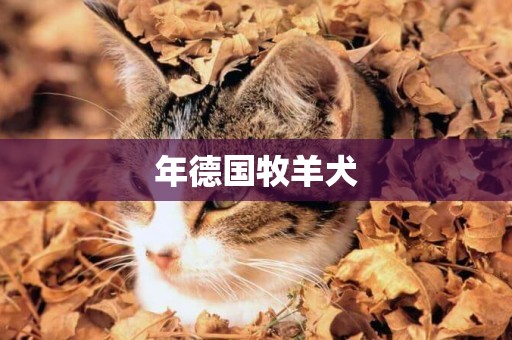 年德國牧羊犬