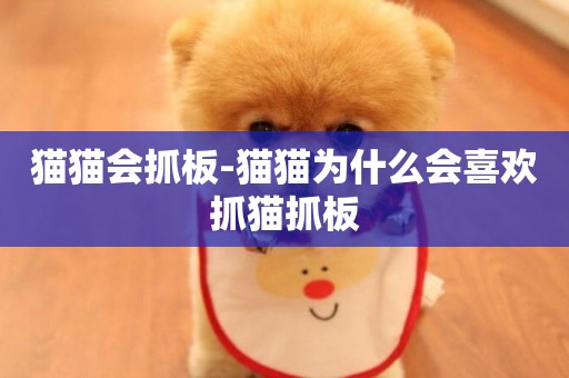 貓貓會抓板-貓貓為什么會喜歡抓貓抓板