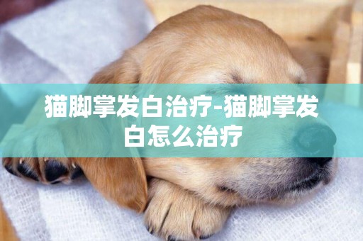 貓腳掌發白治療-貓腳掌發白怎么治療