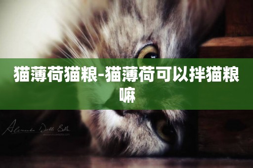 貓薄荷貓糧-貓薄荷可以拌貓糧嘛