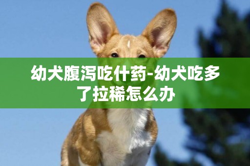 幼犬腹瀉吃什藥-幼犬吃多了拉稀怎么辦