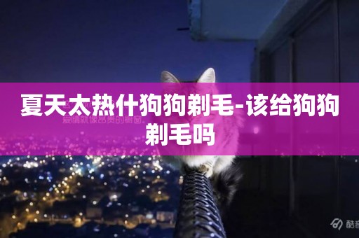 夏天太熱什狗狗剃毛-該給狗狗剃毛嗎