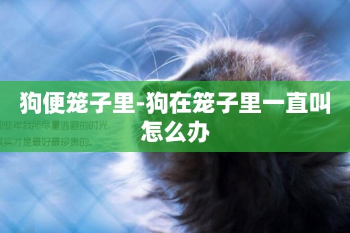 狗便籠子里-狗在籠子里一直叫怎么辦