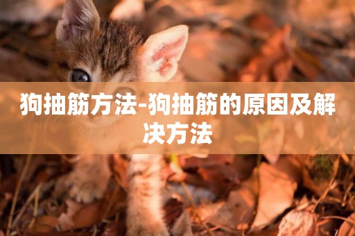 狗抽筋方法-狗抽筋的原因及解決方法