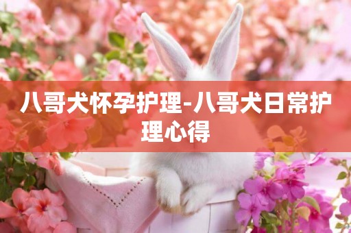 八哥犬懷孕護理-八哥犬日常護理心得