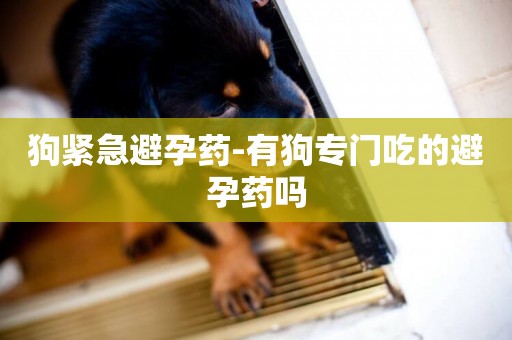 狗緊急避孕藥-有狗專門吃的避孕藥嗎