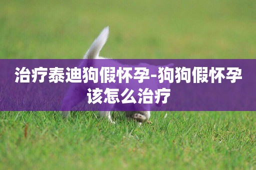 治療泰迪狗假懷孕-狗狗假懷孕該怎么治療
