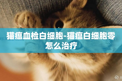 貓瘟血檢白細胞-貓瘟白細胞零怎么治療