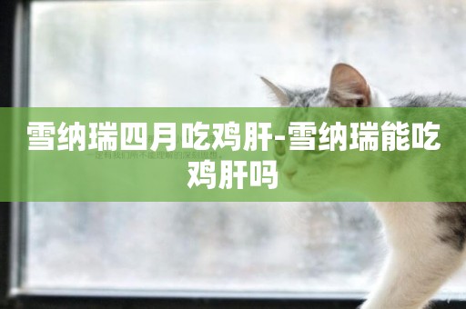 雪納瑞四月吃雞肝-雪納瑞能吃雞肝嗎