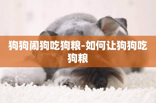狗狗鬧狗吃狗糧-如何讓狗狗吃狗糧